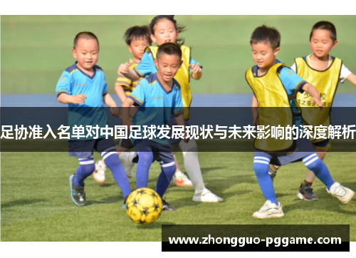 足协准入名单对中国足球发展现状与未来影响的深度解析